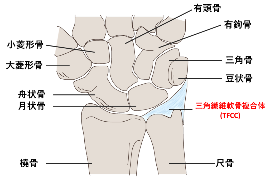 ＴＦＣＣ損傷（三角線維軟骨複合体損傷） | ひなた整骨院